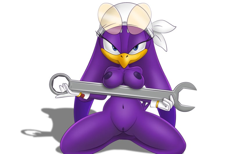 2018 anthro avian bandana beak bedroom_eyes bird blue_eyes breasts clitoris clothing davius digital_media_(artwork) eyewear feathers female gloves half-closed_eyes looking_at_viewer nipples nude presenting purple_feathers pussy seductive simple_background smile solo sonic_(series) sonic_riders swallow_(bird) video_games wave_the_swallow