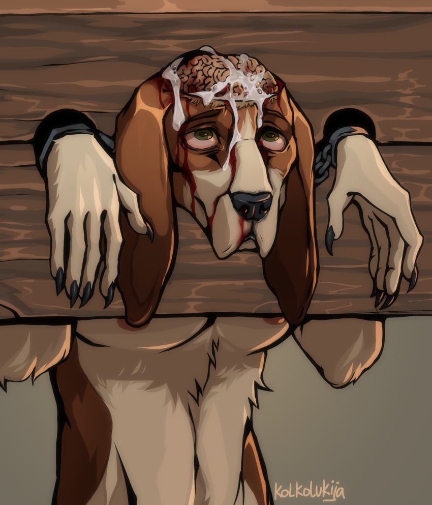 absurd_res anthro basset_hound bodily_fluids bound brain brown_body brown_fur canid canine canis chained chains clothing cum cumshot damage domestic_dog ejaculation eye_roll eyes_rolled floppy_ears fur genital_fluids gore gore_focus green_eyes half-closed_eyes hi_res hunting_dog immobile immobilization kolkolukija legwear long_ears male mammal narrowed_eyes nipples open_eyess organs restraints scent_hound snuff solo standing stockings stocks