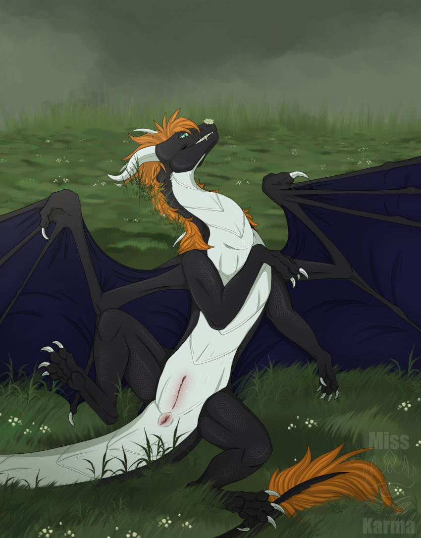 anus black_body black_pawpads black_scales claws dragon female feral fur genitals grass hi_res horn mane membrane_(anatomy) misskarma mythological_creature mythological_scalie mythology orange_body orange_fur orange_mane pawpads pink_anus pink_pussy plant purple_membrane pussy scales scalie solo white_body white_claws white_horn white_scales