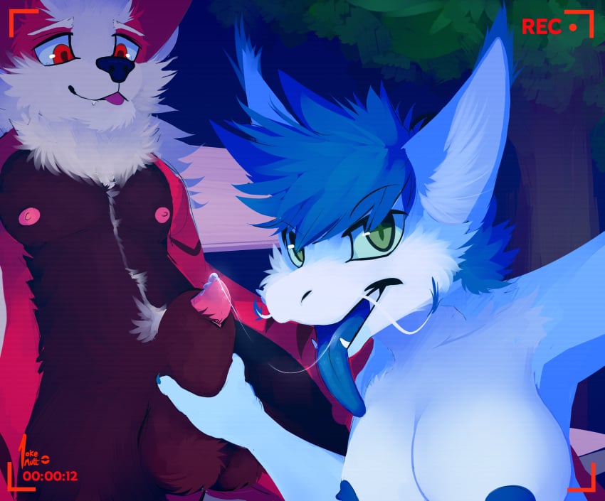 1boy 1girls animal_genitalia animal_penis anthro arcanine areola areolae big_ears blue_fur breasts camera canine canine_penis detailed digital_media_(artwork) dragon duo eastern_dragon female fur furry hair half-erect handjob hud imminent_blowjob imminent_oral interspecies licking_penis looking_pleasured male mammal nintendo nipples nude open_mouth oral oral_sex orange_fur original_character outside park pecs penis pokemon pokemon_(species) pokemon_rgby pokemutt precum public recording saliva saliva_string sex sheath simple_background smile straight testicles text tongue tongue_out video_games