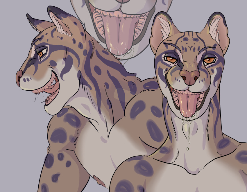 Anthro Rule 34 Image