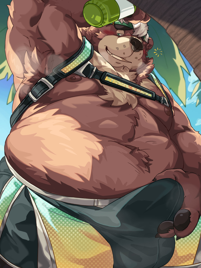 absurd_res anthro beach bear belly blush bottle bottomwear brown_body brown_fur clothing container drunk erection erection_under_clothing fur goro_(live_a_hero) grin harness hechaxianzhi hi_res lifewonders live_a_hero male male_only mammal moobs navel nipples overweight palm_tree pawpads plant shorts smile solo substance_intoxication swimwear tree