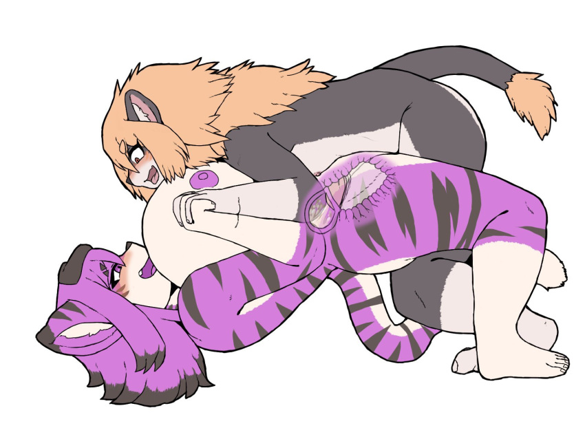 1girls anthro anthro_on_anthro anthro_penetrated anthro_penetrating anthro_penetrating_anthro big_breasts blush breasts cross_section cum cum_in_pussy cum_in_uterus cum_inside duo eye_contact felid female hand_holding hi_res huge_breasts komenuka_inaho larger_female lion looking_at_another male male/female mammal nipples nude open_mouth pantherine penetration penis sex size_difference smaller_female smile spread_legs tiger uterus vaginal_penetration x-ray zeno_(komenuka_inaho)