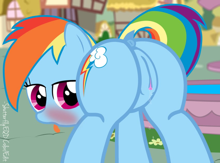 2015 anus ass blue_fur blush clitoris dock equine female feral friendship_is_magic fur hair horse mammal multicolored_hair multicolored_tail my_little_pony outside pony puffy_anus pussy pussy_juice rainbow_dash_(mlp) rainbow_hair rainbow_tail shutterflyeqd solo tongue tongue_out wet