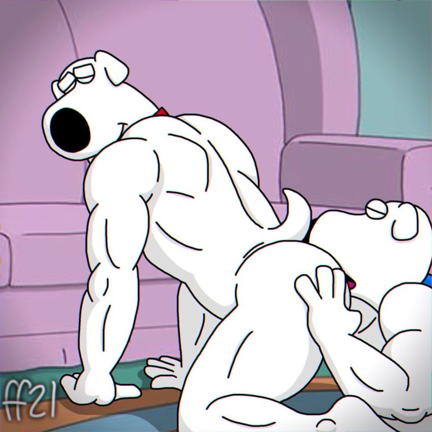 Brian Griffin (Family Guy) Rule 34 Image