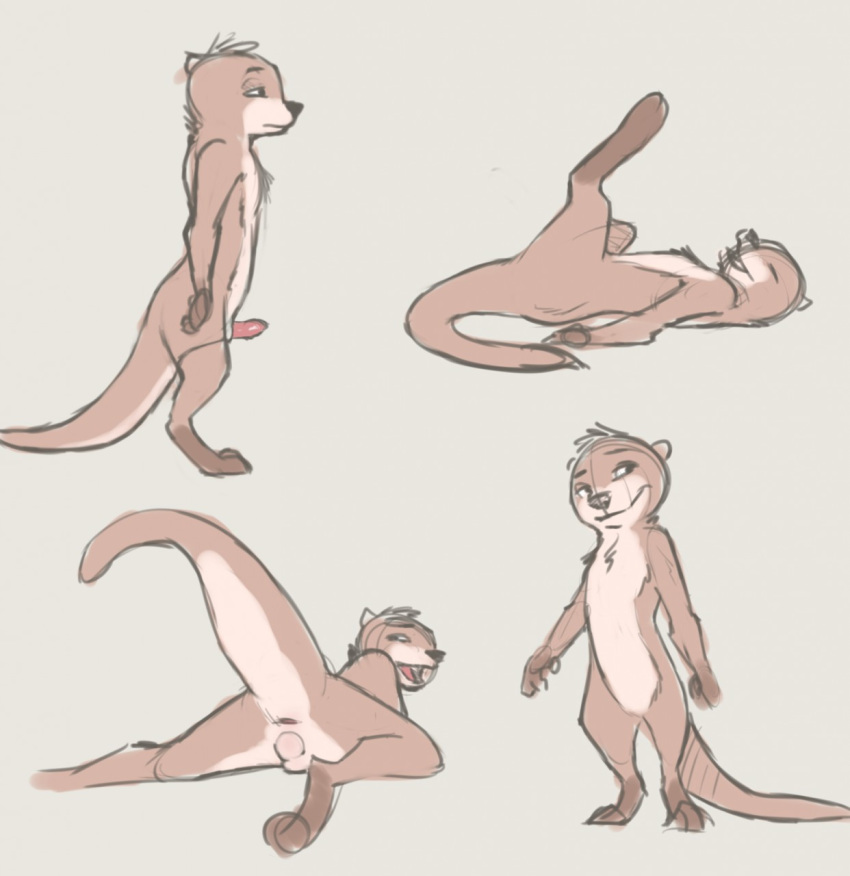 2018 animal_genitalia anthro anus balls blush erection legs_up looking_at_viewer looking_back lying male mammal multiple_scenes mustelid nude on_back on_front otter penis presenting raised_tail sheath sketch solo tuke