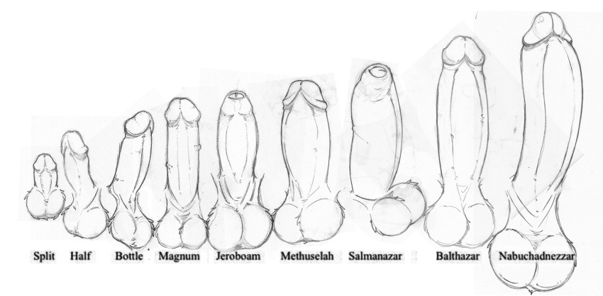 anatomy big_penis boner circumcised comparison disembodied_penis educational english_text erect_penis erection fuzzy_balls hard_on hi_res huge_cock humanoid_penis large_penis line_art male male_only monochrome multiple_penises neenya no_humans penis penis_size_comparison penis_size_difference retracted_foreskin simple_background sketch small_penis text thick_penis uncensored uncut unretracted_foreskin veiny_penis white_background zero_pictured