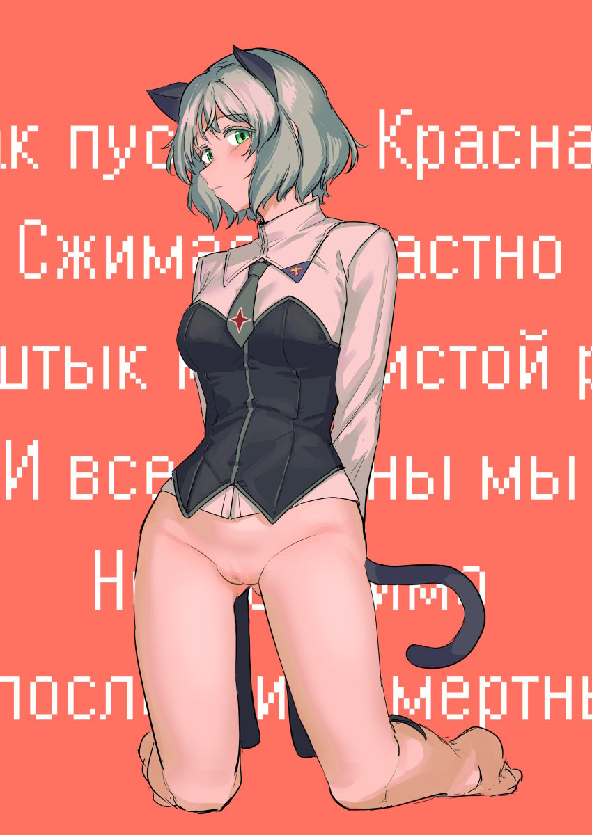 absurdres animal_ears blonde_hair bottomless cat_ears cat_girl cat_tail censored commentary_request cyrillic female green_eyes grey_hair highres military military_uniform no_panties no_pants pondo_(peng-model) pussy russian_text sanya_v._litvyak shirt short_hair solo strike_witches strike_witches:_aurora_no_majo strike_witches:_suomus_misfits_squadron tail uncensored uniform vaginal_penetration world_witches_series