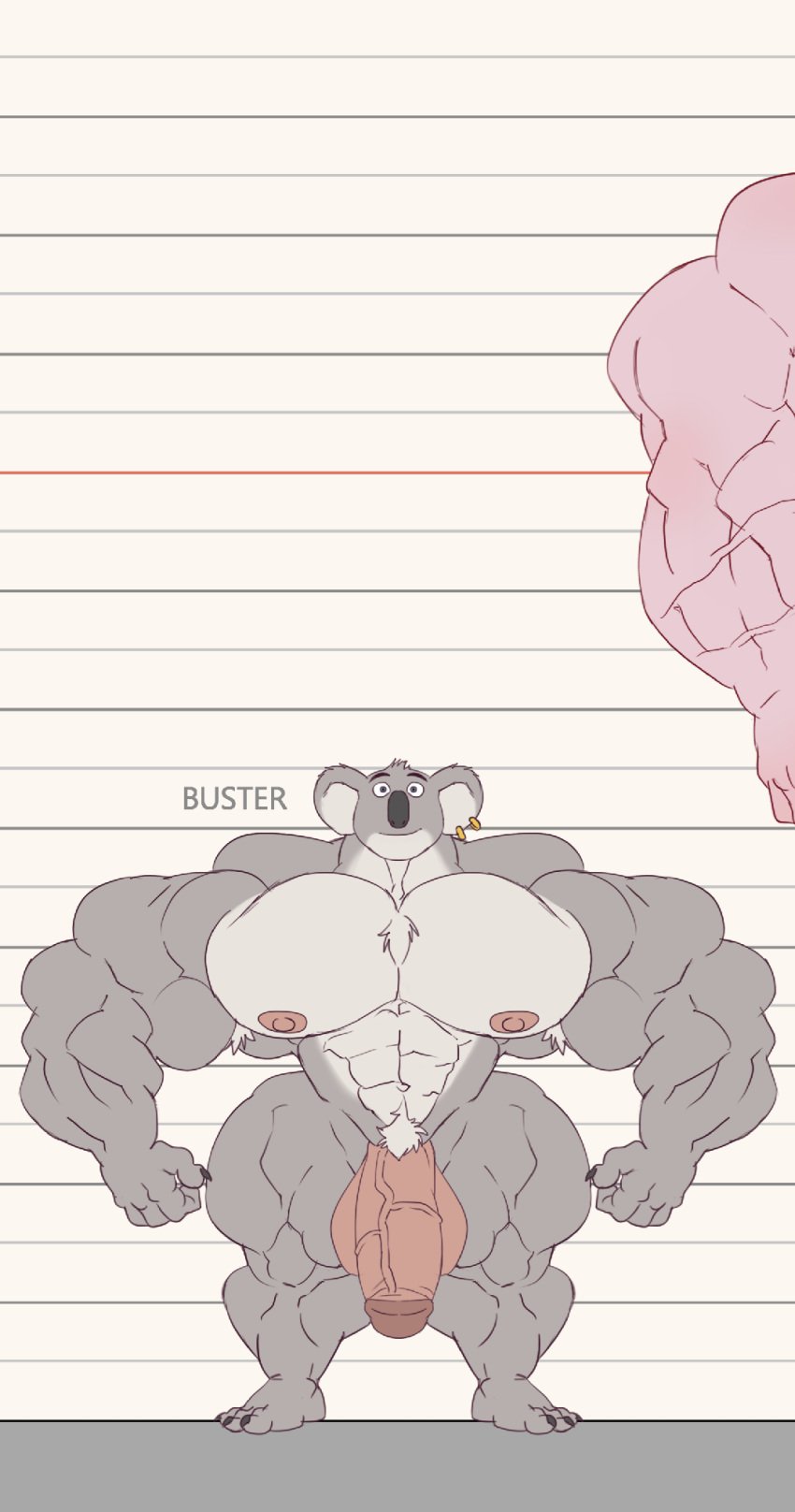 anthro armpit_hair balls bara big_muscles big_penis buster_moon flaccid furry height_chart hyper_muscles koala male male_only muscles muscular nude penis remert sing_(movie) solo solo_male standing