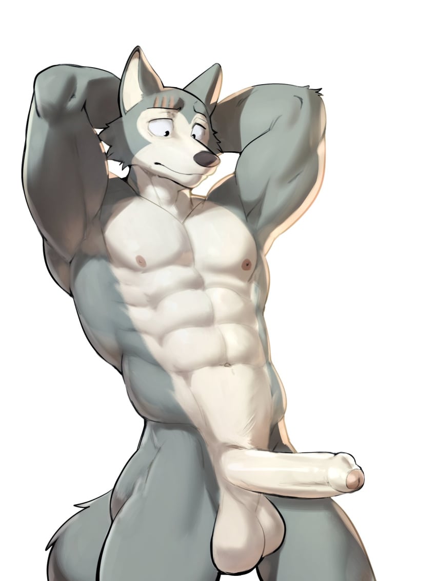 2024 abs anthro areola balls beastars big_balls big_penis canid canine canis erection fur genitals grey_body grey_fur hi_res jrjresq legoshi_(beastars) male male_only mammal multicolored_body multicolored_fur muscular muscular_anthro muscular_male nude penis solo tail two_tone_body two_tone_fur wolf