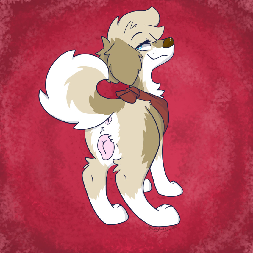 anatomically_correct bandana blue_eyes canid canine canis domestic_dog female feral fur genitals hi_res kerchief looking_back mammal plump_labia presenting pussy smile smirk solo tan_body tan_fur vixeyhuskybutt_(artist)