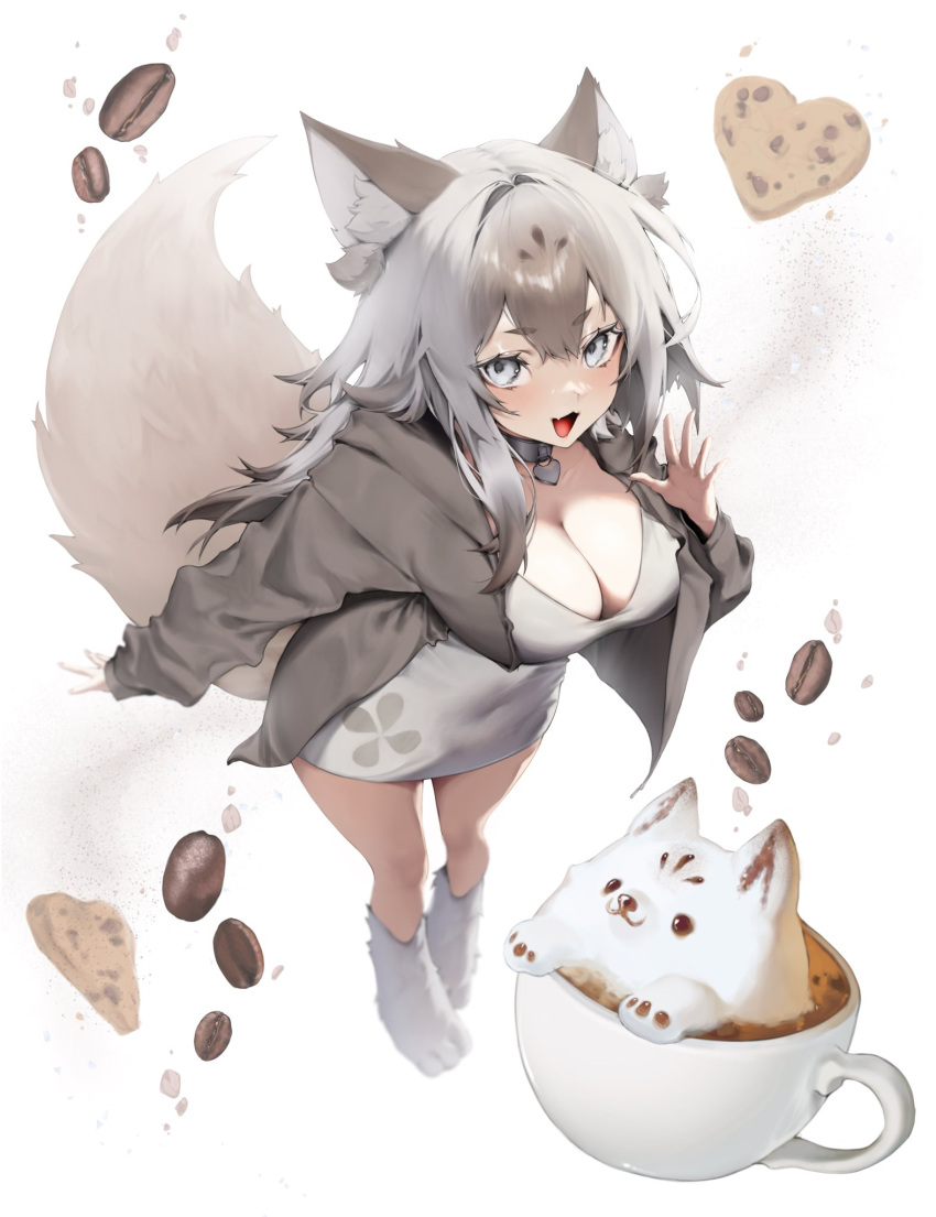 :d animal_ear_fluff animal_ears bangs breasts choker cleavage collar cookie cup dress female food fox_ears fox_girl fox_tail foxplushy grey_eyes grey_hair grey_jacket hair_between_eyes hood jacket large_breasts long_hair long_sleeves looking_at_viewer open_clothes open_jacket open_mouth short_dress smile solo standing tail tongue virtual_youtuber white_background white_dress yuumellow