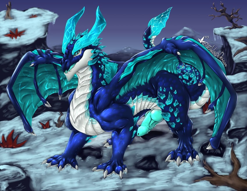 balls claws dragon erection feral knot looking_at_viewer male male_only penis scalie snow solo weisswinddragon western_dragon wings