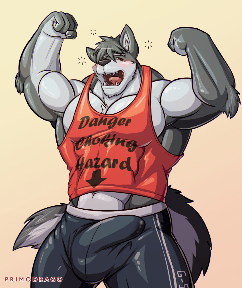 anthro blush brown_eyes bulge canine clothed clothing fur furry grey_fur male male_only mammal muscular muscular_male open_mouth penis_outline primodrago underwear wolf yawn