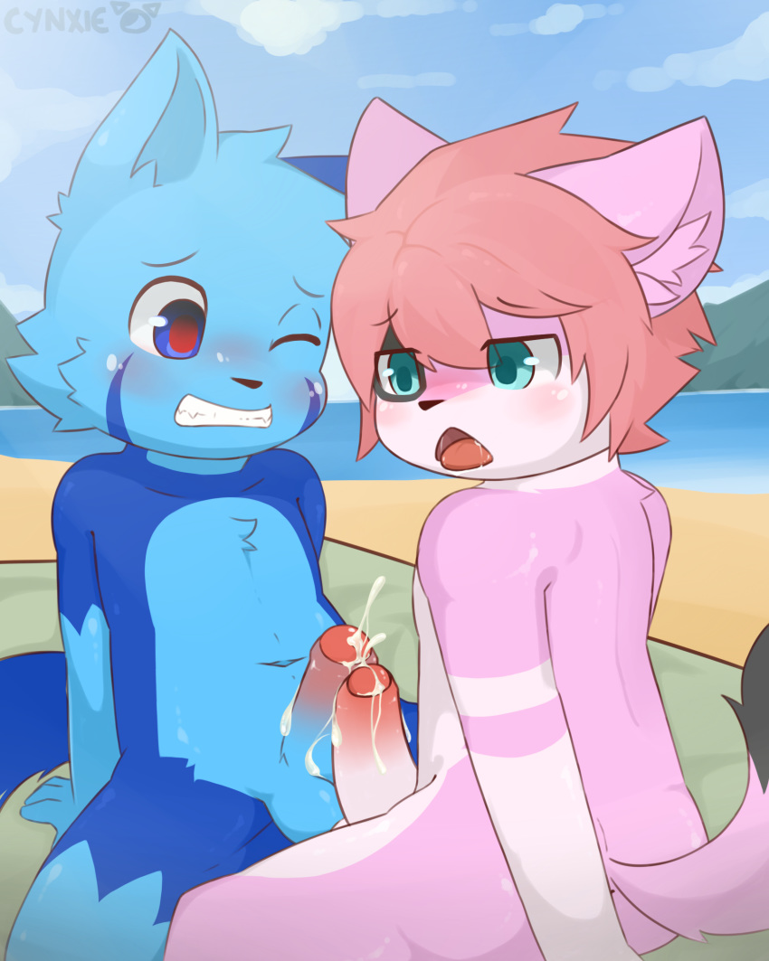 anthro beach blue_eyes blue_fur blush cum cynxie erection feline frottage fur hair haziq_(hazumazu) humanoid_penis male mammal naz_namaki_(cynxie) open_mouth orgasm penis pink_fur pink_hair public red_pupil seaside sex yaoi