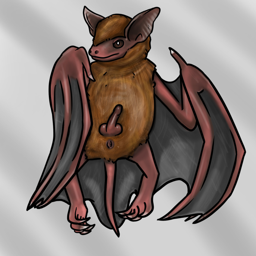 1:1 2021 5_toes anatomically_correct anatomically_correct_balls anatomically_correct_genitalia anatomically_correct_penis animal_genitalia animal_penis anus balls bat bat_ears bat_wings bedroom_eyes betlv big_brown_bat big_ears brown_body brown_eyes brown_fur chiropteran_penis claws digital_drawing_(artwork) digital_media_(artwork) erection feet feral feral_only front_view fur genitals head_tuft hi_res house_bat looking_at_viewer lying male male_only mammal membrane_(anatomy) membranous_wings microbat narrowed_eyes neck_tuft nude on_back penis realistic_feral seductive shaded simple_background smaller_version_at_source solo tail toes tragus tuft vesper_bat white_background white_claws winged_arms wings yangochiropteran