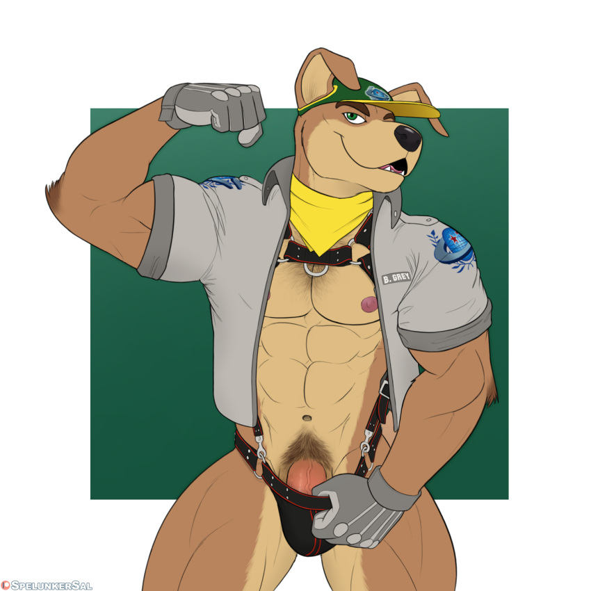 abs anthro armband bandana bill_grey bulge canid canine canis clothed clothing clothing_pull domestic_dog erection flexing furgonomics genitals gloves handwear harness hat headgear headwear hi_res humanoid_genitalia humanoid_penis jacket kerchief male male_focus male_only mammal mostly_nude muscular muscular_male nintendo nipples open_clothing open_shirt open_topwear pecs penis penis_base shirt smile solo spelunker_sal star_fox thong thong_pull topwear underwear underwear_pull