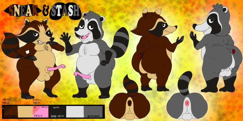 amateurcooper anthro anus ass balls big_butt brown_body brown_fur duo fur genitals grey_body grey_fur male mammal model_sheet nude overweight penis procyonid raccoon slightly_chubby sneak_(amateurcooper) stash_(amateurcooper) thick_thighs