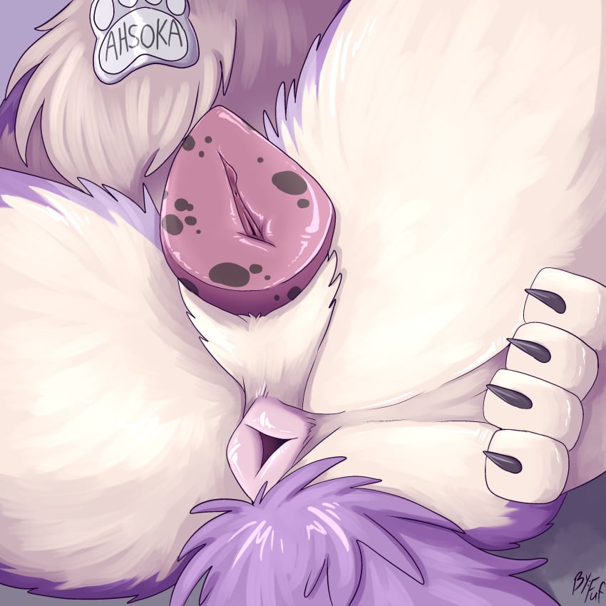 ahsoka_(littlebolty) animal_genitalia animal_pussy anus ass butt_focus canid canine canine_genitalia canine_pussy canis clitoris collar countershading domestic_dog female feral fuf fur gaping gaping_anus genital_focus genitals hi_res mammal purple_anus purple_body purple_fur purple_pussy pussy pussy_focus solo spots spotted_genitalia spotted_pussy spread_legs spreading tail urethra