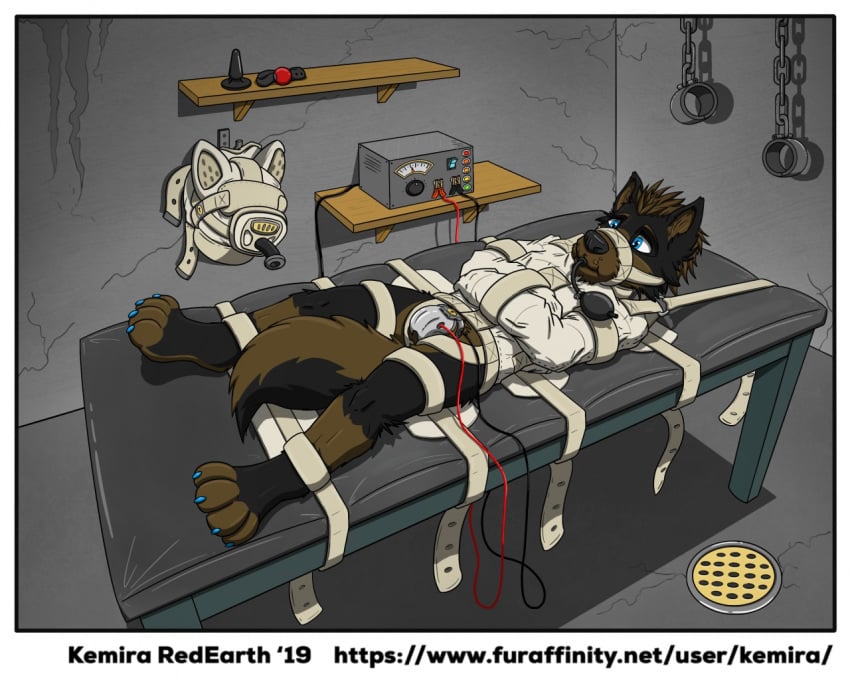 2019 4_toes anthro ball_gag bed black_body black_ears black_fur black_snout blue_claws blue_eyes bondage bondage border bound brown_body brown_fur brown_hair brown_inner_ear canid canine canis chastity_cage chastity_device claws cuff_(restraint) diesel_(dieselshepohio) digital_drawing_(artwork) digital_media_(artwork) domestic_dog dungeon electrostimulation electrostimulation_chastity_cage electrostimulation_chastity_device feet fur furniture gag gagged german_shepherd hair herding_dog inflatable_gag kemira long_tail lying male mammal metal_chastity_cage multicolored_body multicolored_fur muzzle_(object) muzzled on_back on_bed pastoral_dog plug_(sex_toy) pointy_ears prick_ears restraints segufix sensory_deprivation_hood sex_toy shackles solo straitjacket straps tail tail_between_legs text tied_to_bed toes two_tone_body two_tone_fur url white_border