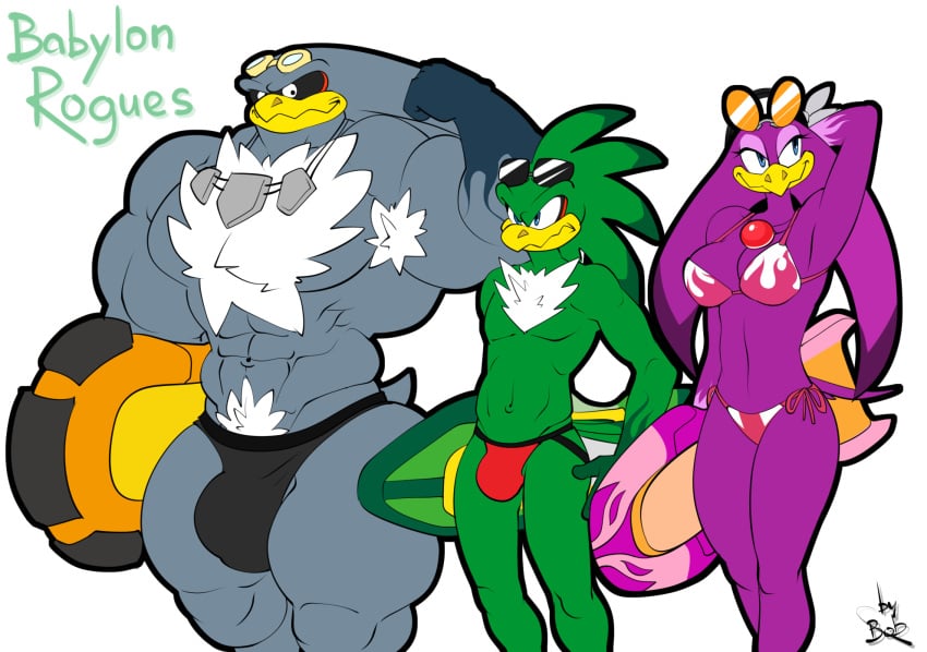 abs albatross anthro avian bikini bird bobthetanuki bulge extrasizedbob female hover_board hoverboard jet_the_hawk jockstrap male pecs sonic_(series) storm_the_albatross swallow_(bird) swimsuit wave_the_swallow