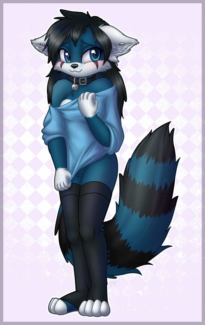 2018 :3 anthro black_hair blue_panda blush bottomless breasts buxybuxbux clothed clothing collar cute digital_media_(artwork) female female_only fur hair hi_res legwear mammal nipples purple_background pussy red_panda shirt_pull shy sidnithefox smile solo standing stockings