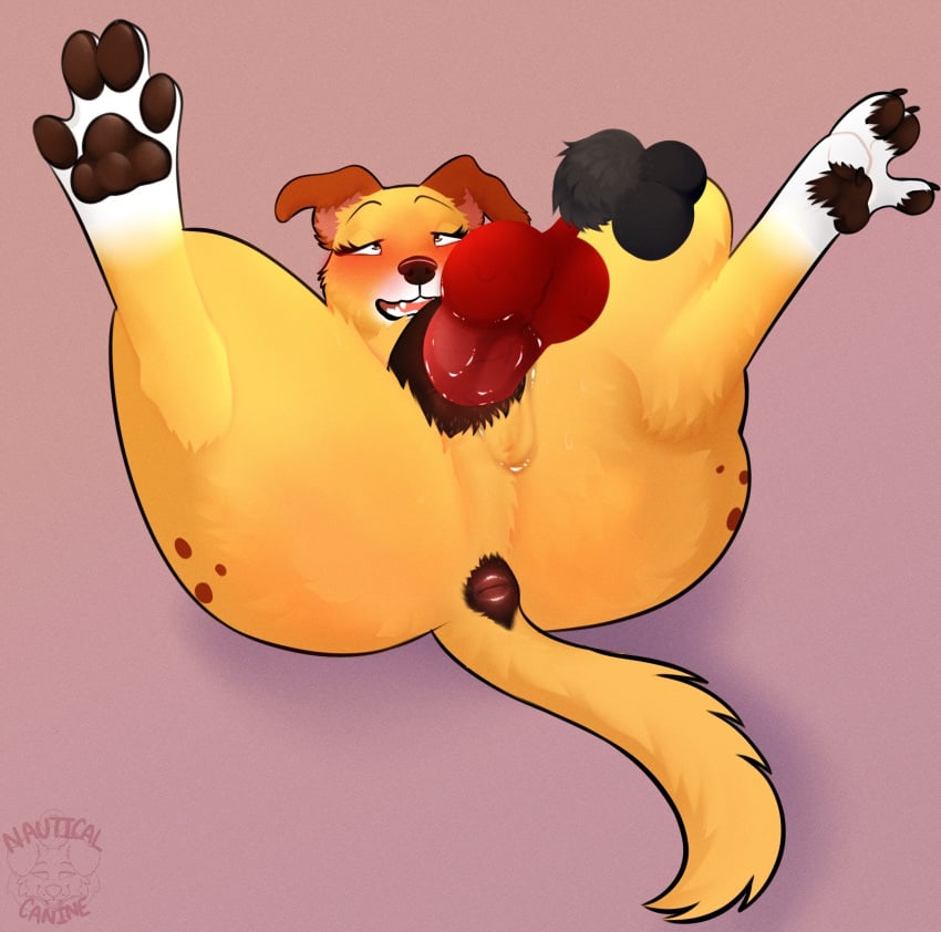 Martha Lorraine (Martha Speaks) Rule 34 Image