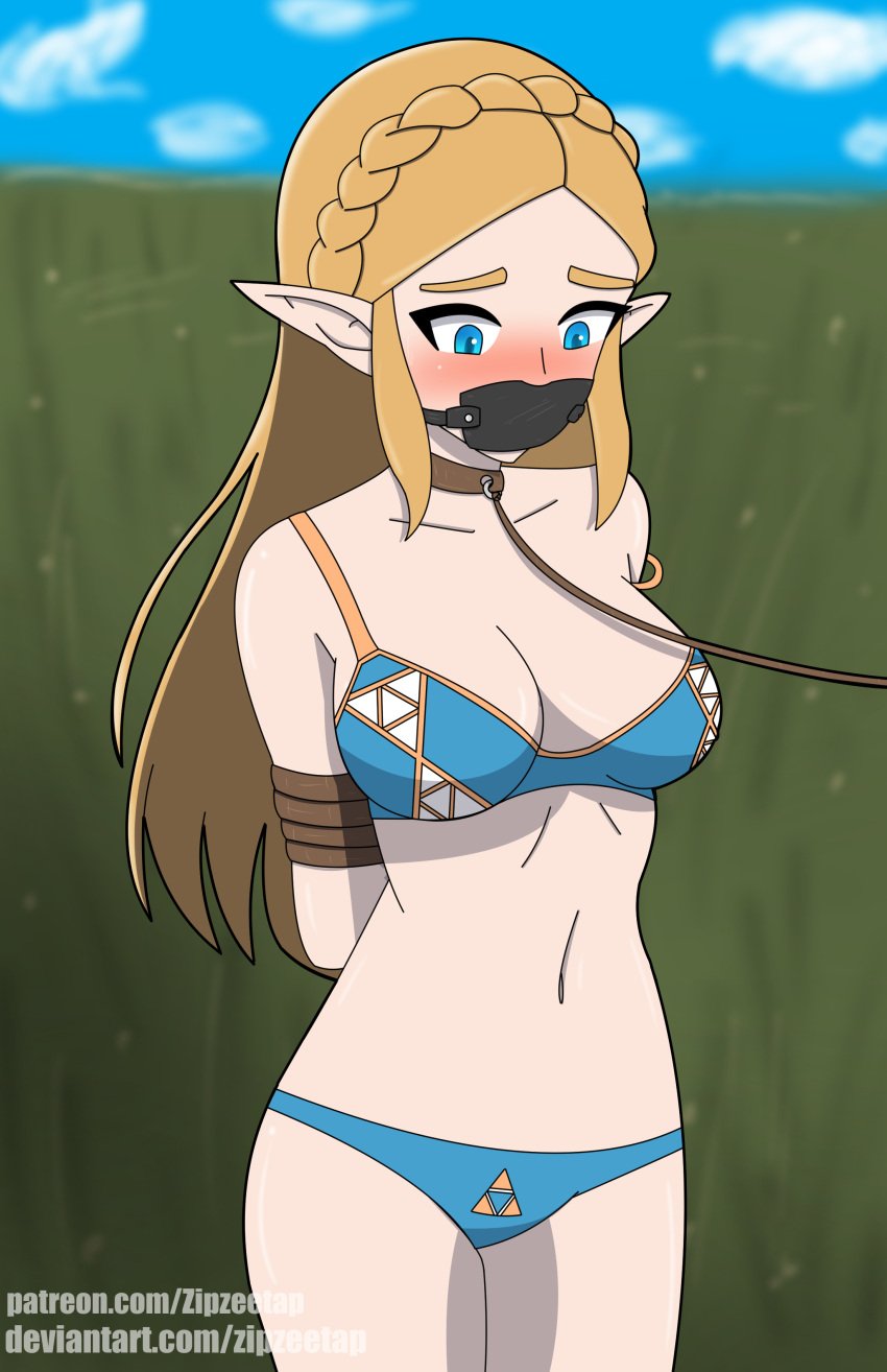 blonde_hair blue_eyes blush bondage bound bound_arms bra breath_of_the_wild cleavage collar female female_only femsub gag leash nintendo outdoors panties pointy_ears princess_zelda rope the_legend_of_zelda underwear underwear_only zipzeetap