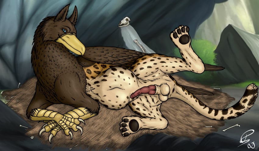 after_vore animal_genitalia anus avian balls beak belly belo_(fischie) big_belly blue_eyes bone brown_body brown_feathers death digestion_noises dragonczech erection feathered_wings feathers feet feral feral_pred fully_inside fur genitals gryphon hi_res knot male male_feral male_pred markings mythological_avian mythological_creature mythology pawpads paws penile_spines penis sheath skull solo spots spotted_body spotted_fur stomach_bulge talons text toes vore wings