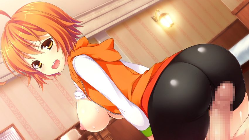 areolae ass backboob bed bike_shorts blush breasts breasts_out buttjob censored chuablesoft erection female from_behind game_cg highres kunai_uri large_breasts looking_back lying mosaic_censoring namanie nipples no_bra noblesse_of_rouge open_mouth orange_eyes orange_hair penis rubbing shirt_lift short_hair sitting sitting_on_person tani_an