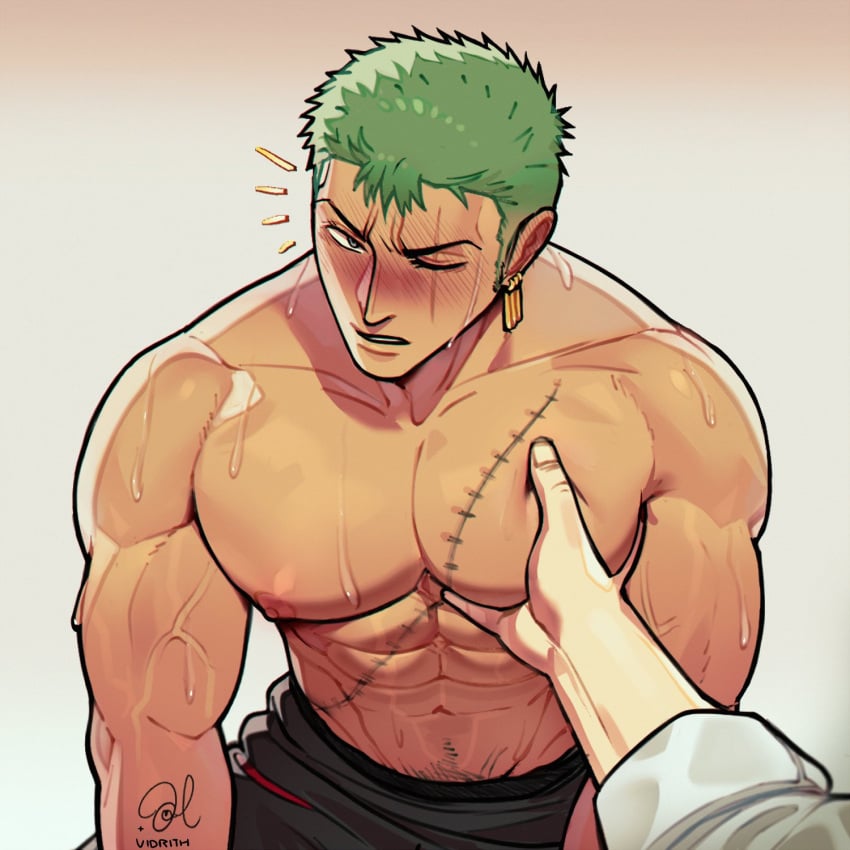 Roronoa Zoro (One Piece) Rule 34 Image