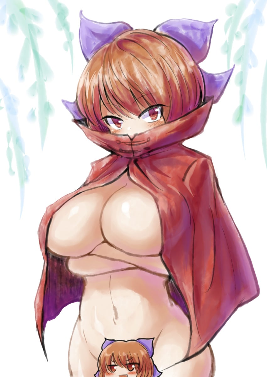 Sekibanki (Touhou) Rule 34 Image