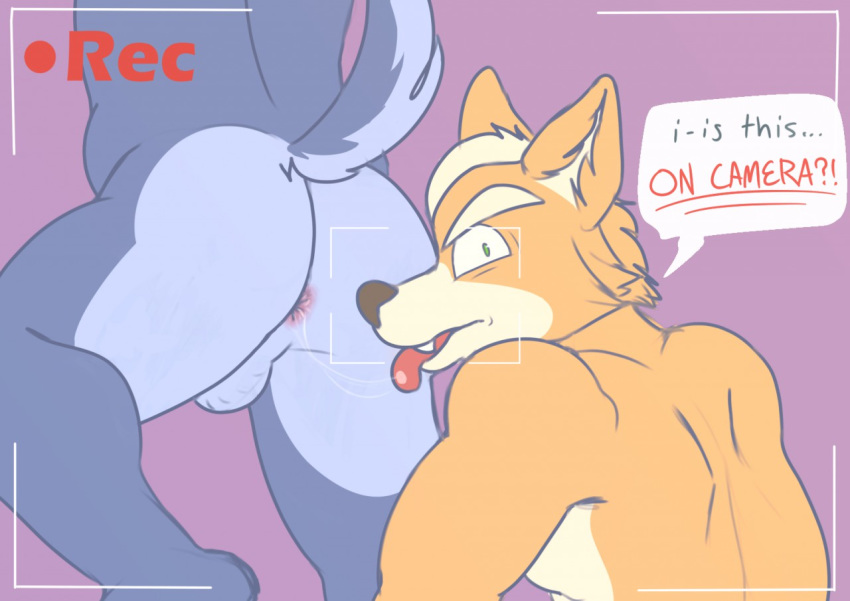 anal anthro anthro_on_anthro anus ass backsack balls blue_fur canine duo english_text fangs fox fox_mccloud fur green_eyes half-closed_eyes looking_at_viewer looking_back male male_only mammal nintendo one_leg_up oral orange_fur raised_tail ramensalt recording rimming saliva saliva_string sex simple_background speech_bubble standing star_fox teeth text tongue tongue_out video_games white_fur wolf wolf_o'donnell yaoi