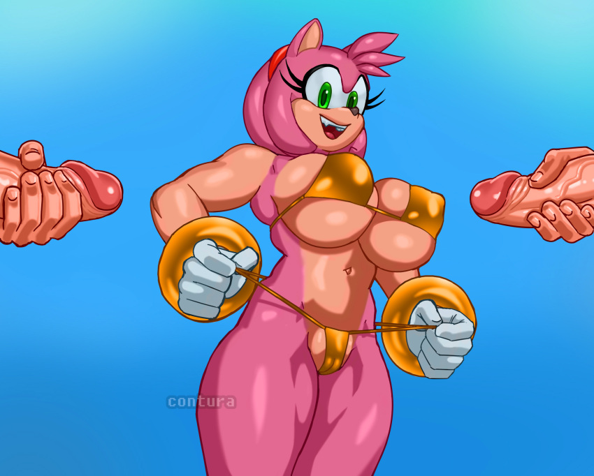 Amy Rose (Sega) Rule 34 Image