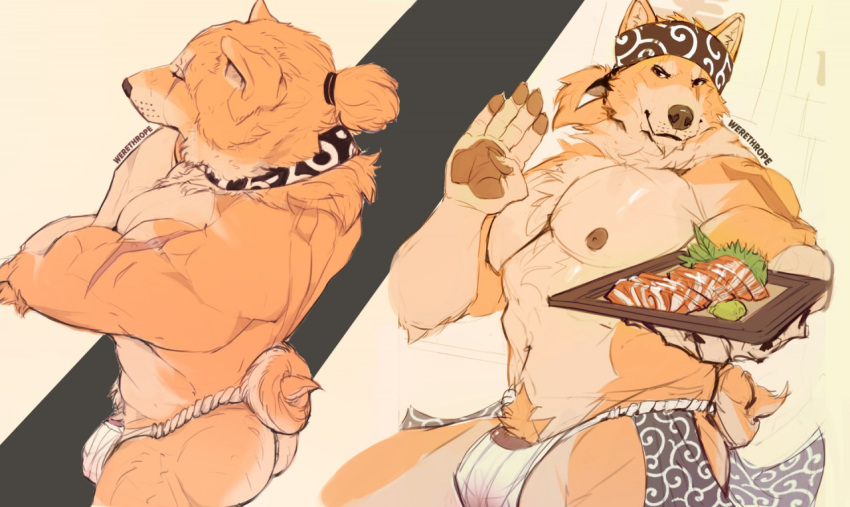 anthro black_eyes bulge canine fur headband male male_only mammal muscular muscular_male nipples oki_ka-ru_(character) orange_fur penis penis_base ponytail shiba_inu solo werethrope