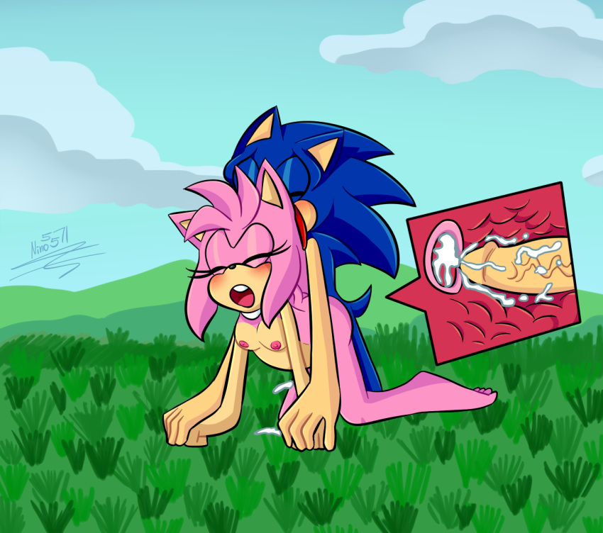 all_fours amy_rose anthro areolae ass barefoot bent_over blue_fur blue_hair blush breasts closed_eyes cum cum_in_pussy cum_in_uterus cum_inside cumshot doggy_style duo feet female from_behind from_behind_position grass hedgehog inflation internal looking_pleasured male mammal naked nino5571 ninotrash nipples nude open_mouth penetration penis pink_fur pink_hair pregnancy pregnant pregnant_sex sega sex signature sonic_(series) sonic_the_hedgehog stomach_bulge straight tail thick_penis thighs tongue uterus vaginal_penetration vein veiny_penis x-ray