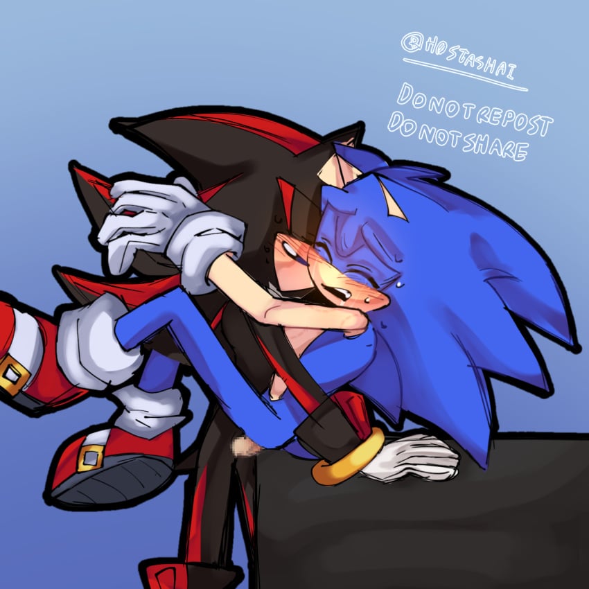 2boys censored cuntboy gay gay_domination gay_sex intersex male sega shadow_the_hedgehog sonadow sonic_(series) sonic_the_hedgehog sonic_the_hedgehog_(series) unnecessary_censorship vaginal_penetration vaginal_sex yaoi