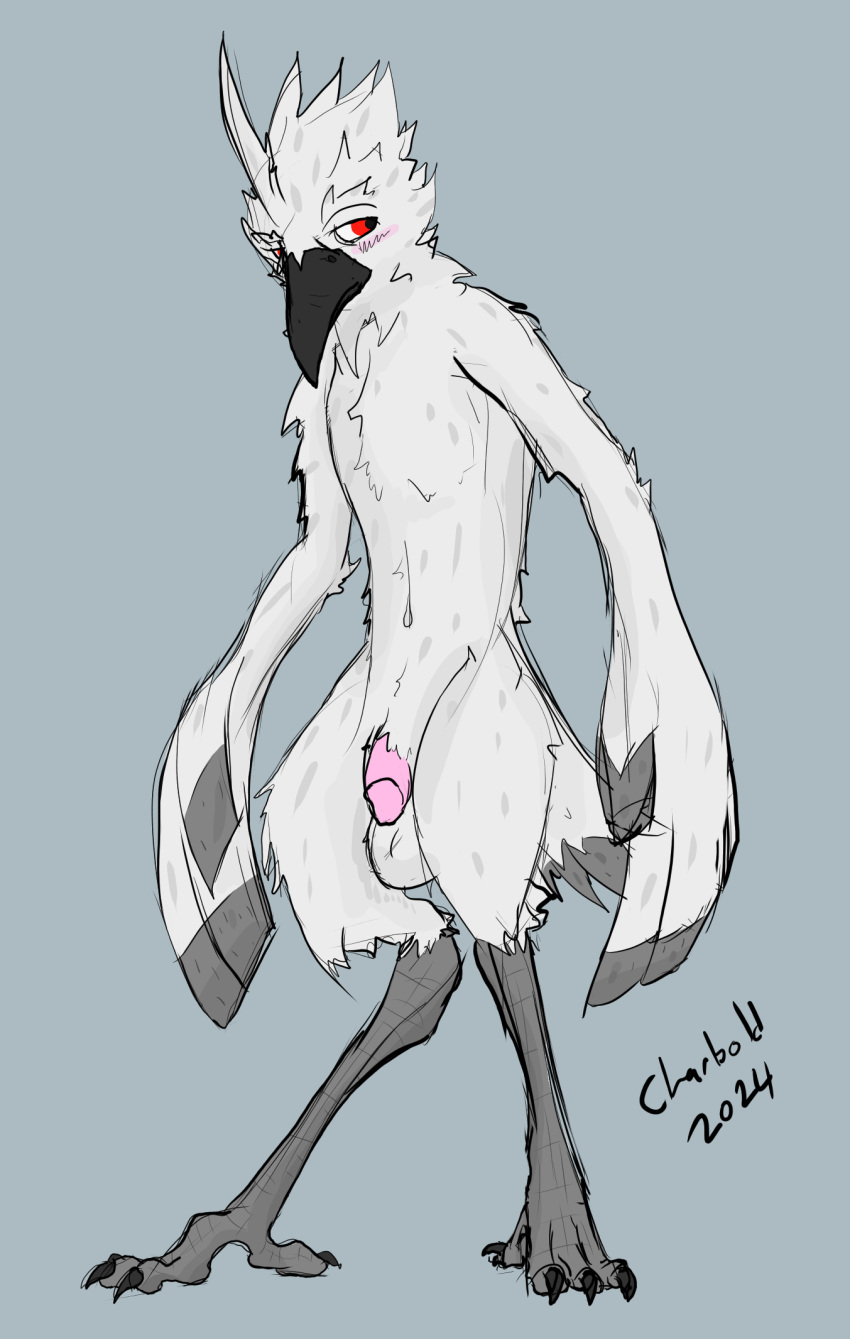 albino anthro asian_mythology avian balls beak bird charbold digital_media_(artwork) east_asian_mythology feathers flaccid genitals hi_res humanoid japanese_mythology male male_focus male_only mythology nude penis red_eyes simple_background solo tail white_body white_feathers