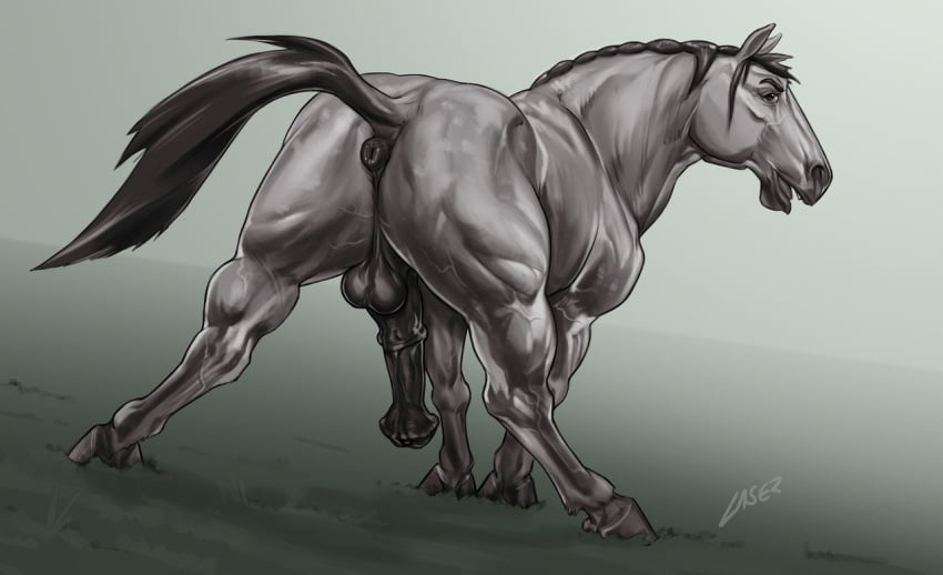 anatomically_correct anatomically_correct_genitalia anatomically_correct_penis animal_genitalia animal_penis anus ass balls draft_horse equine equine_penis erection feral flared_penis grey_skin horse horsecock huge_flare laser_(artist) looking_at_viewer looking_back male male_only mammal medial_ring muscular nude penis presenting presenting_anus presenting_hindquarters presenting_penis puffy_anus raised_tail solo vein