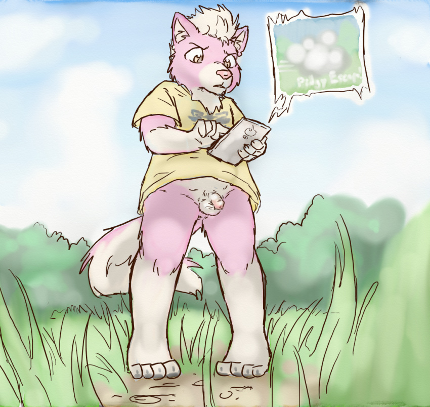 1boy anthro clothed clothing digital_media_(artwork) flaccid fur furry humanoid_penis lavilovi male male_only mammal nintendo original_character outside penis phone pokemon pokemon_go simple_background skunk sky solo standing testicles uncut video_games white_fur