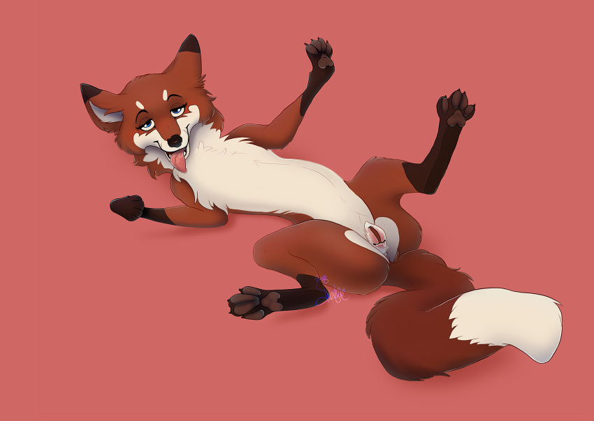 2018 ass canine elly female feral fox fur hi_res looking_at_viewer looking_pleasured lying mammal on_back open_mouth presenting presenting_pussy pussy red_fox shembreopheline simple_background smile solo spread_legs spreading tongue tongue_out