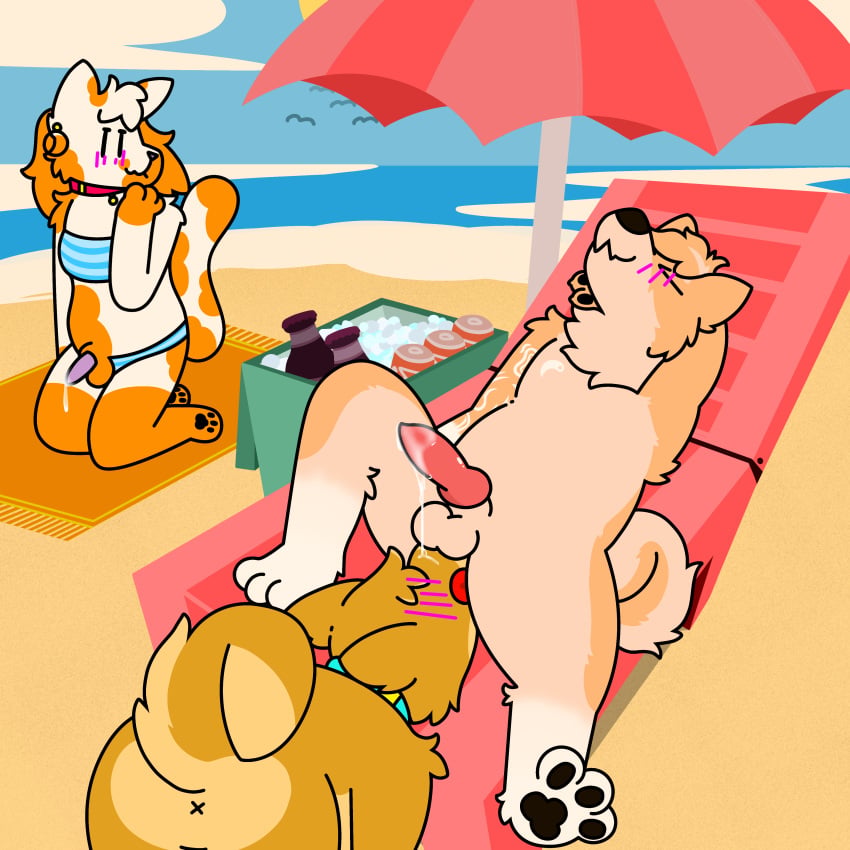 Sparring (Character) Rule 34 Image
