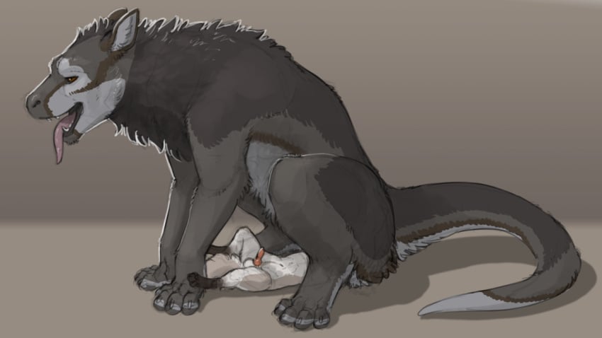 Socks (Marking) Rule 34 Image