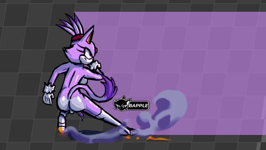 Blaze The Cat (Sonic (Series)) Rule 34 Image
