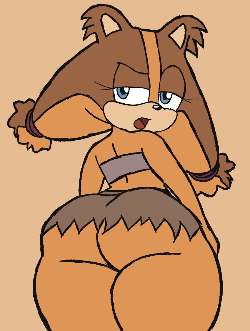 Sticks The Badger (Sonic (Series)) Rule 34 Image