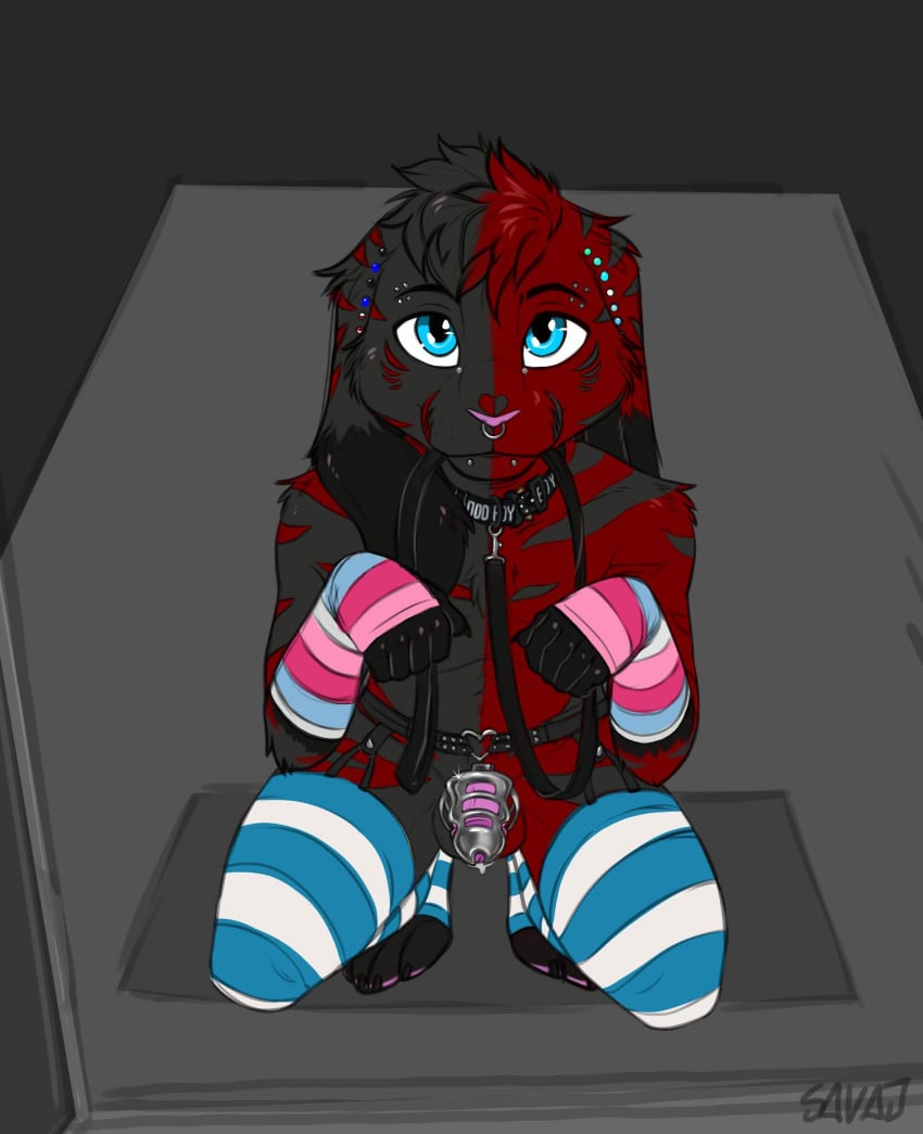 Absurd Res Rule 34 Image