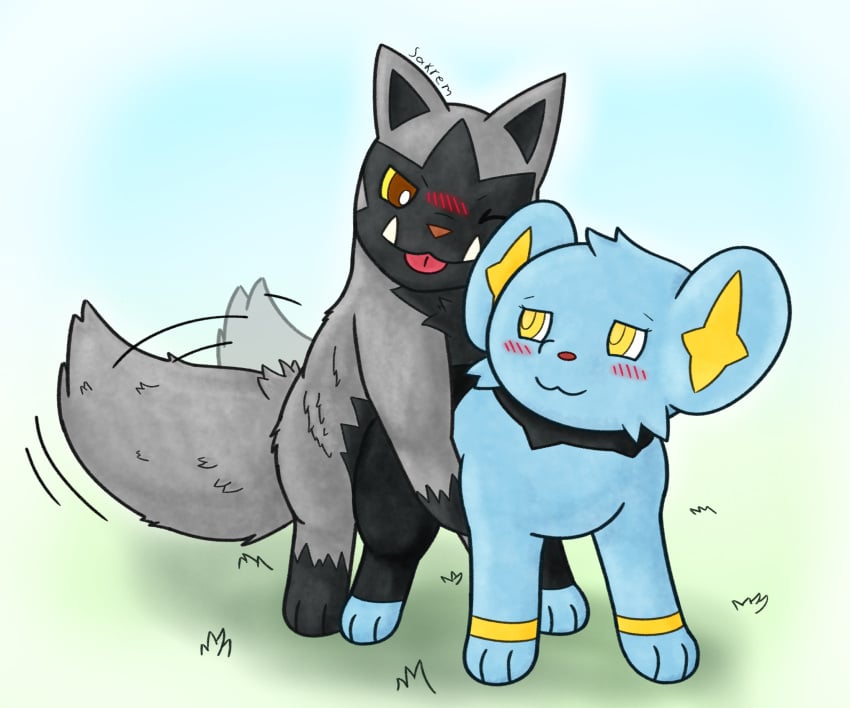 Generation 3 Pokemon (Nintendo) Rule 34 Image