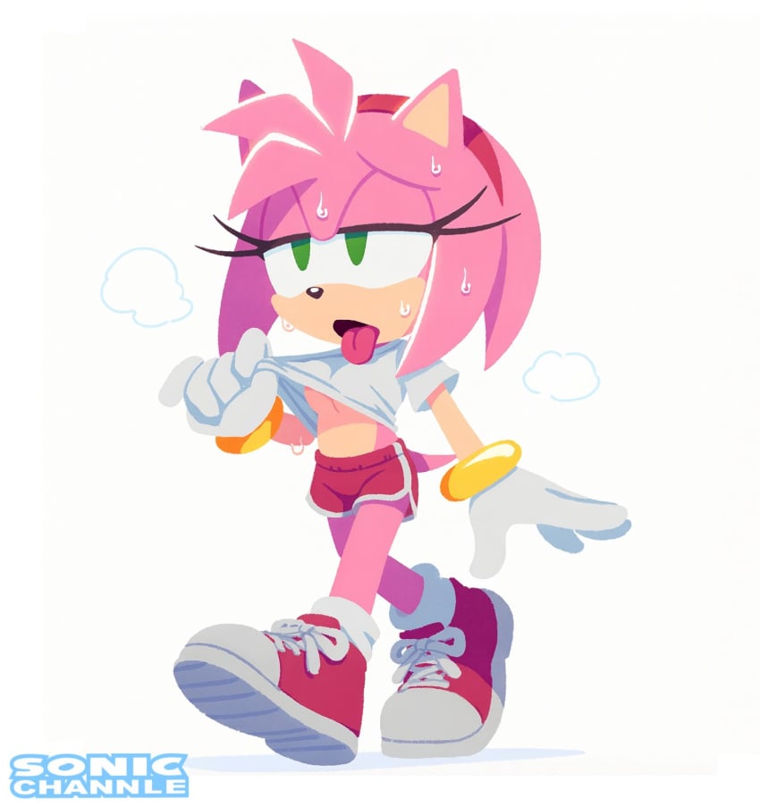 Sonic The Hedgehog (Series) Rule 34 Image