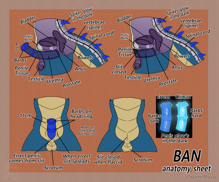 Spikes (Anatomy) Rule 34 Image