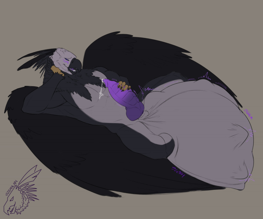 Accipitrid Rule 34 Image